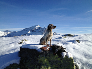 Vicino al cielo
